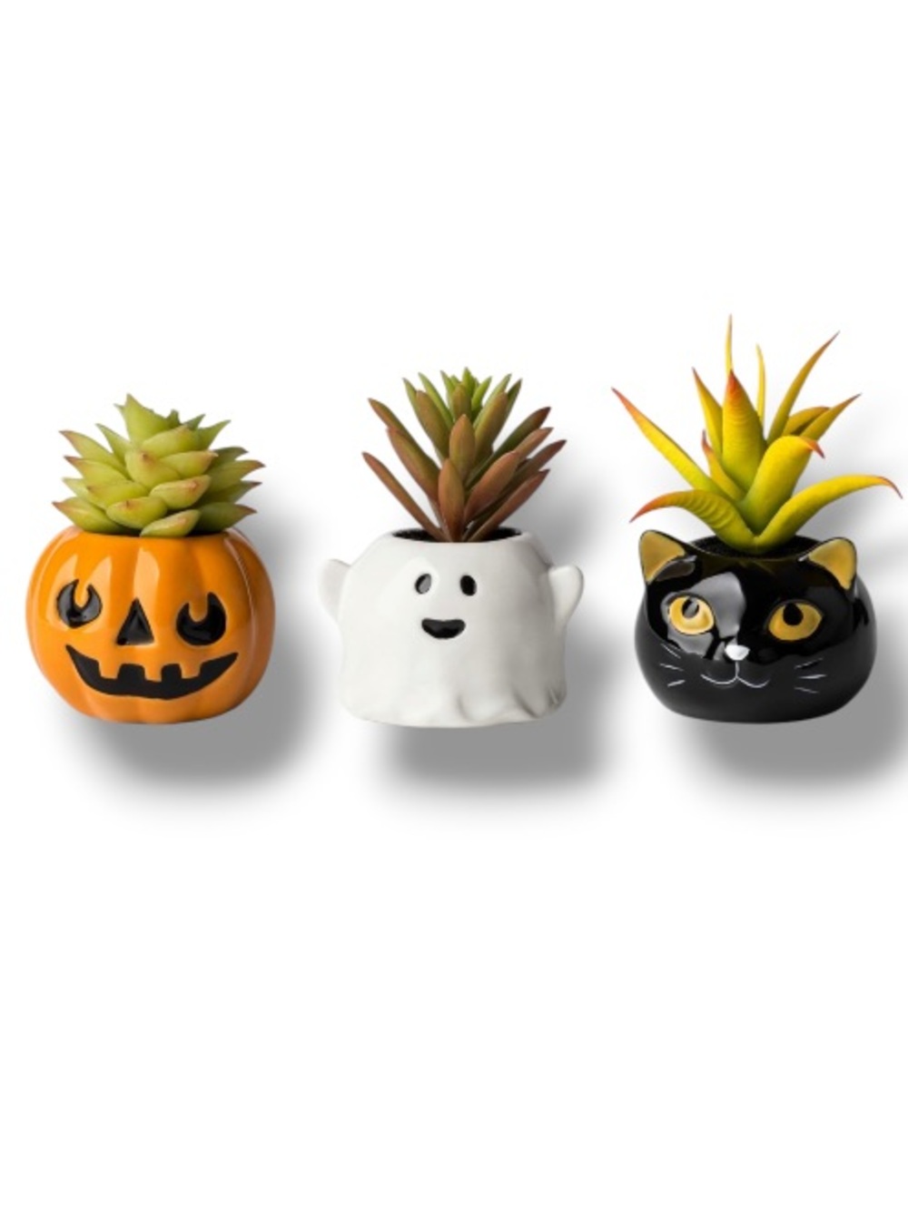 Halloween Spooky Succulents Faux Plant Decor Pumpkin Black Cat Ghost